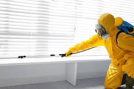 Outdoor Pest Control in Westlake Village, CA